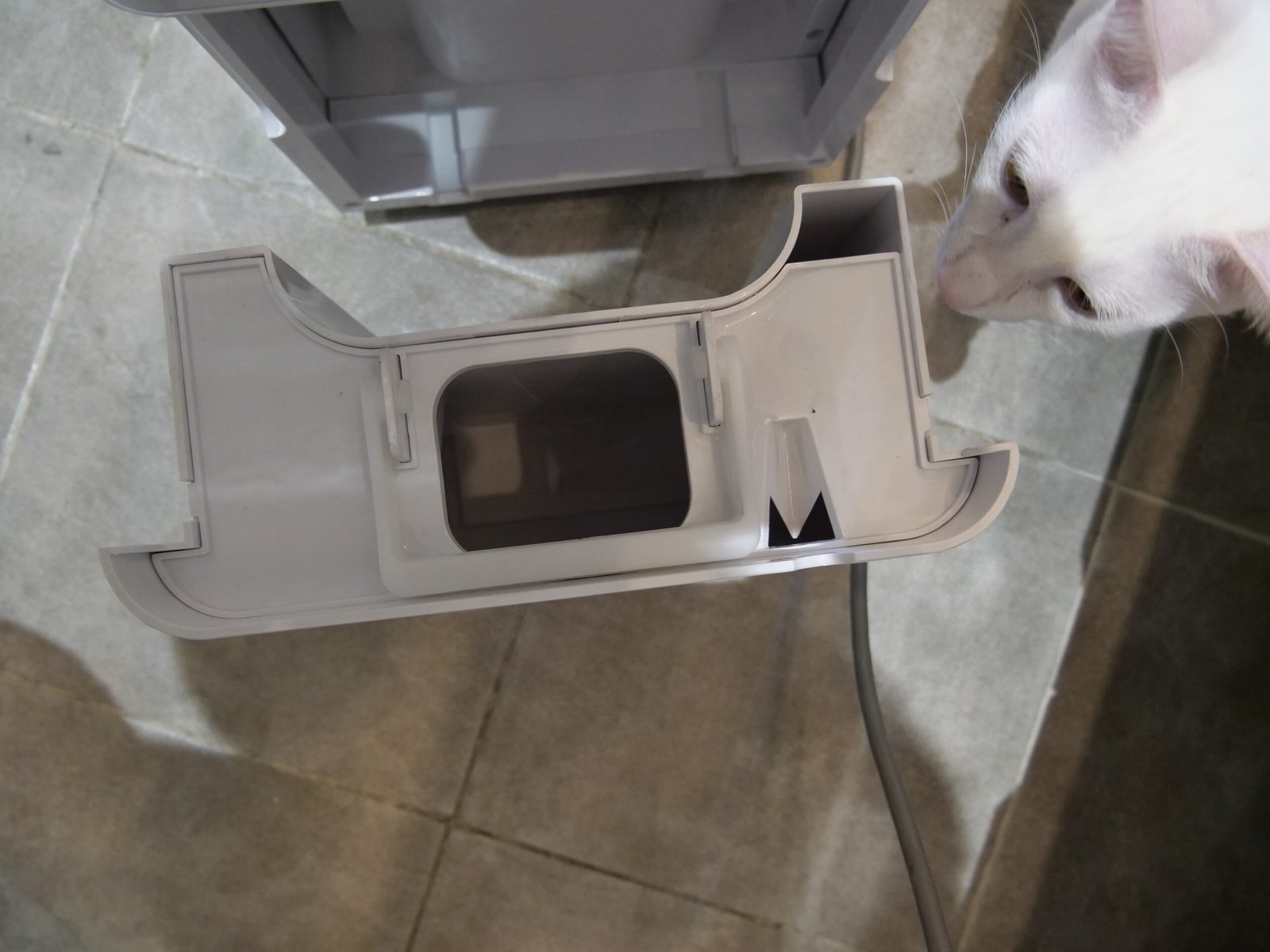 A rescue cat inspecting the removable Sharp dehumidifier water tank